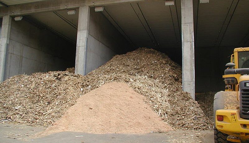 Waste wood at a biomass power plant