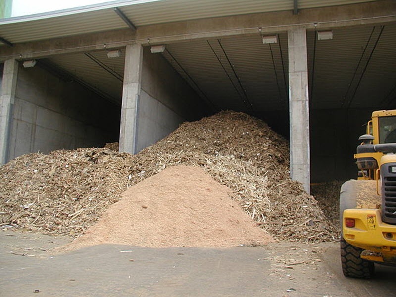 Waste wood at a biomass power plant