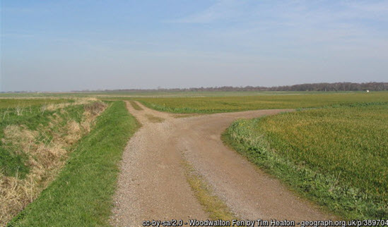 Woodwalton Fen