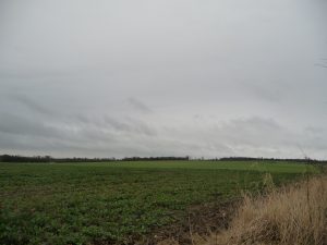 View of the site of the proposed AgriTech park