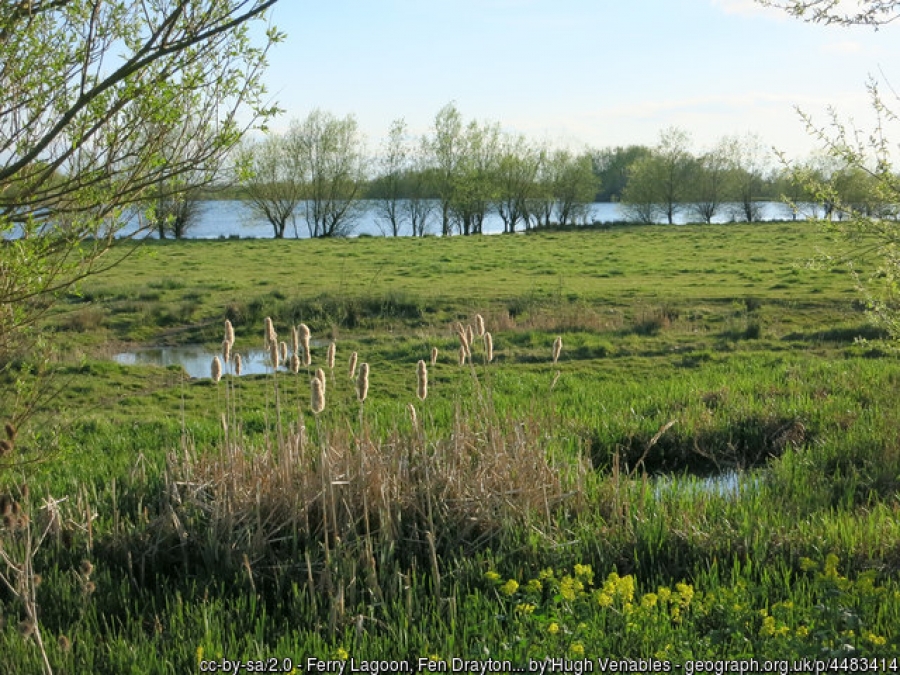 Ferry Lagoon, Fen Drayton