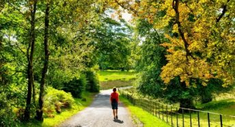 Walking down a country road