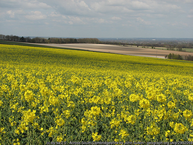 South of Abingdon