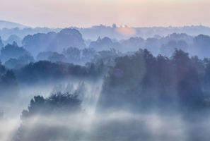 Protect the Surrey Countryside