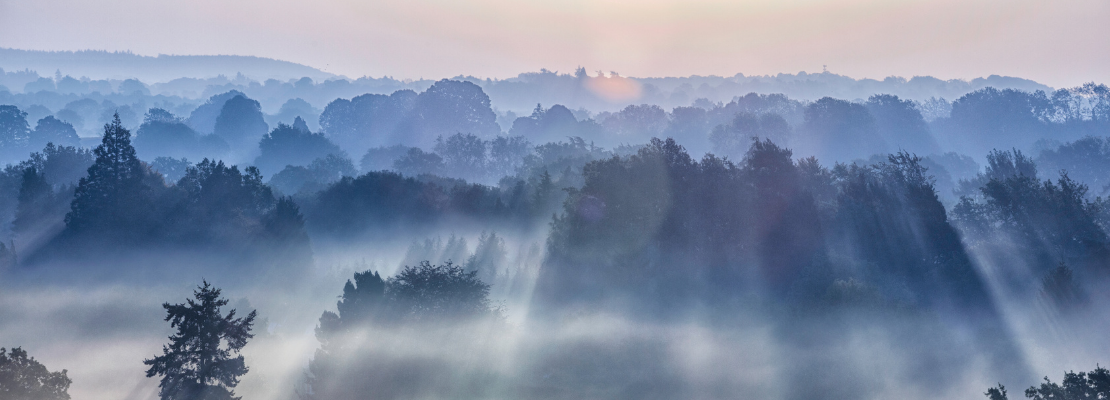 Protect the Surrey Countryside