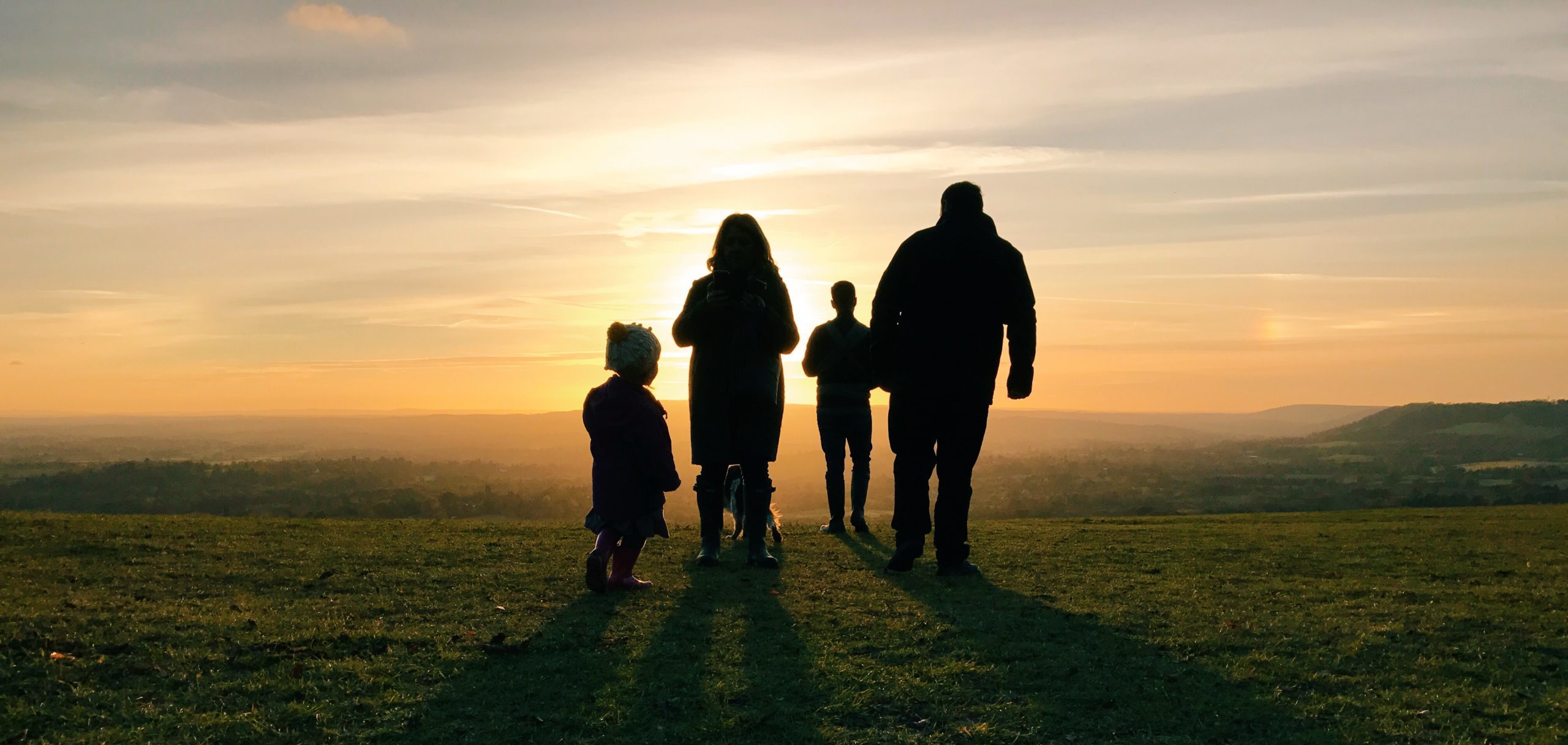 Surrey Hills boundary review