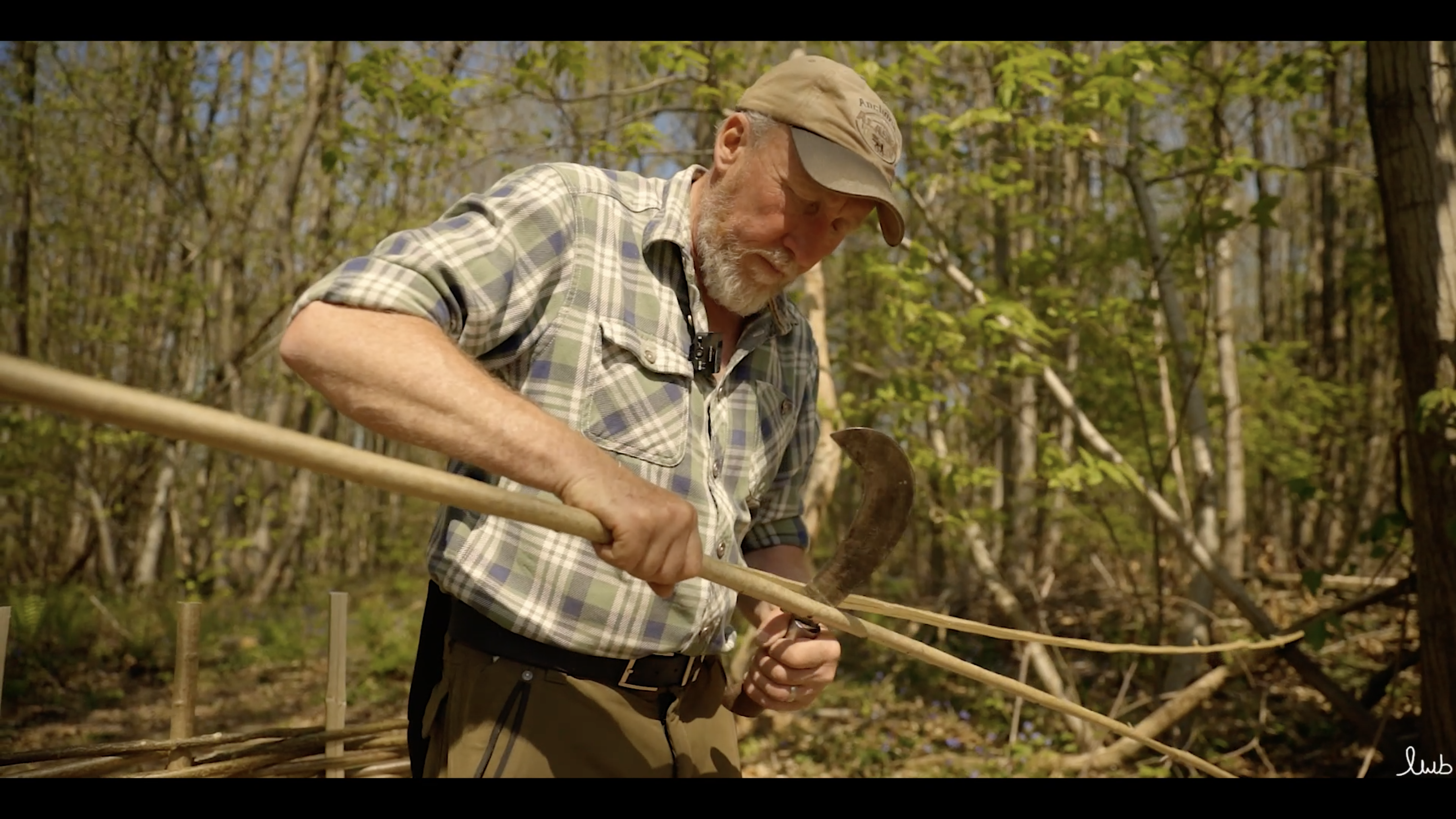 Paul Matthews hedgelaying