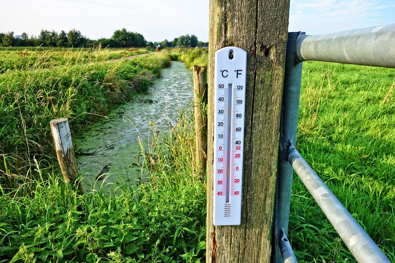 Thermometer on fence