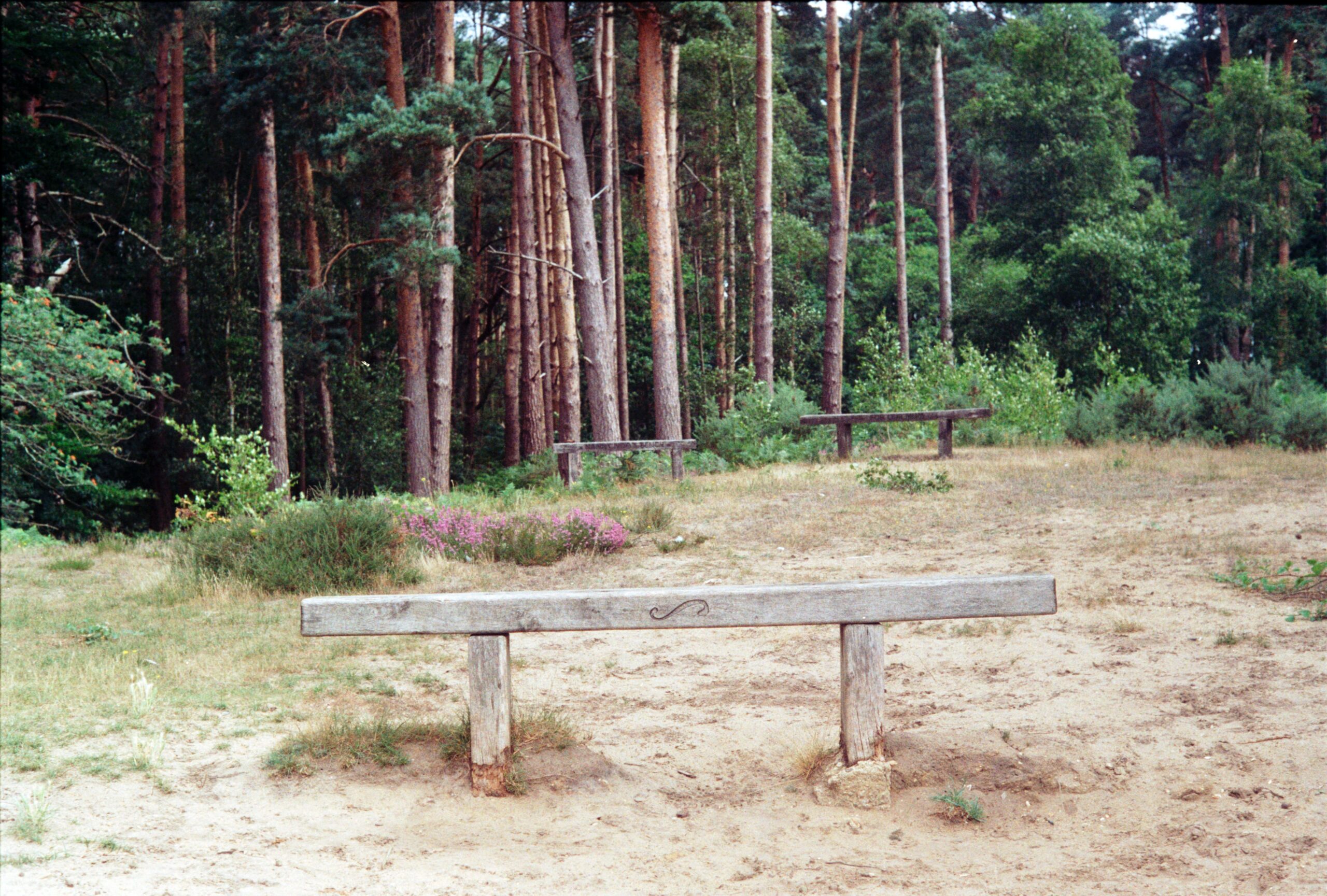 Frensham Little Pond