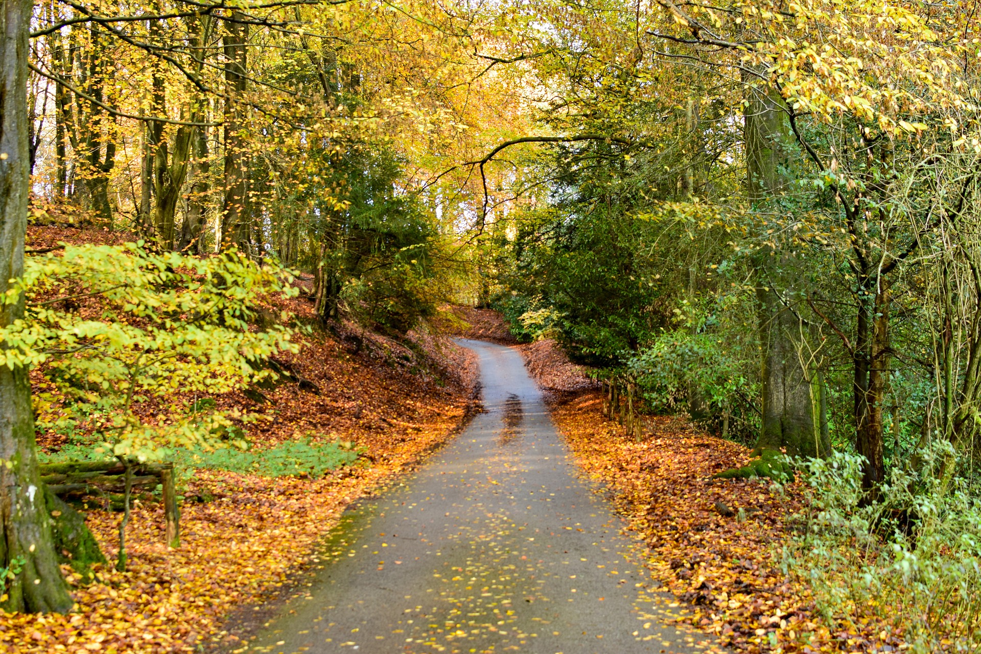 Leith Hill, Surrey