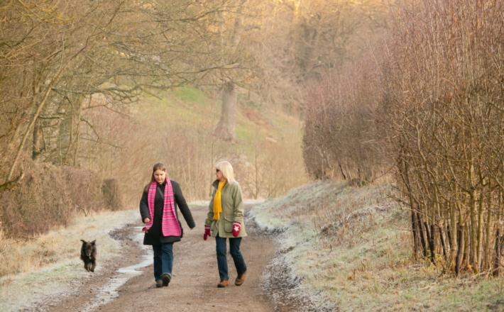 Images of two ladies and a dog taking a walk in the countryside during winter. They are walking along a road with trees on either side
