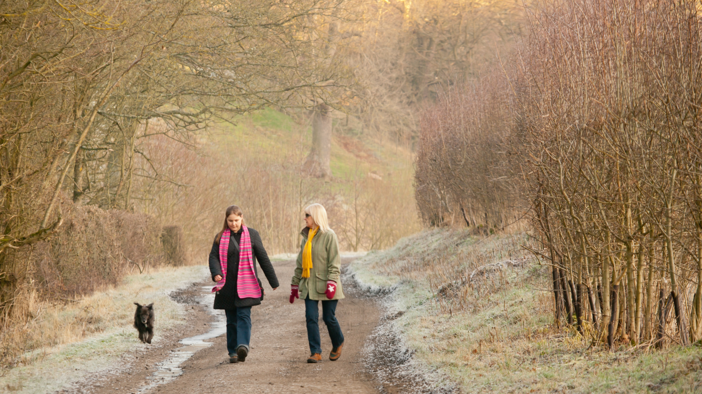 Images of two ladies and a dog taking a walk in the countryside during winter. They are walking along a road with trees on either side