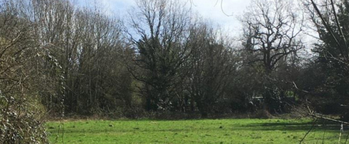 Image of 23 Stokes Field new village green. Image of open feild with green grass and enclosed by trees. The trees are mostly bare and blue sky and light cloud can be seen in the background.