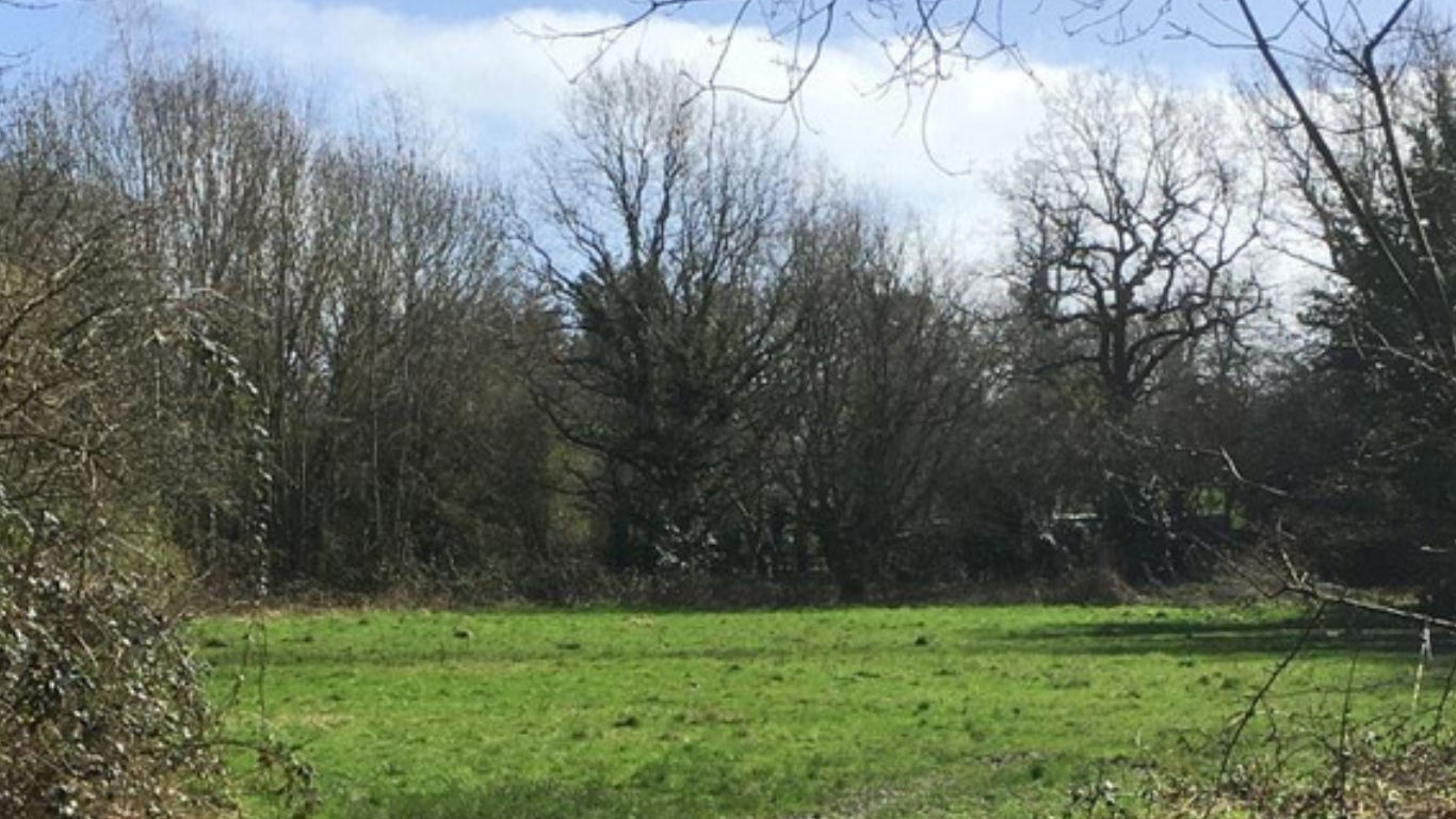Image of 23 Stokes Field new village green. Image of open feild with green grass and enclosed by trees. The trees are mostly bare and blue sky and light cloud can be seen in the background.
