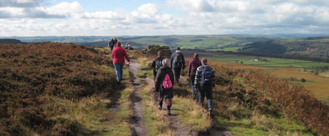 National park walkers follow a path through ferns