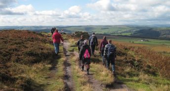 National park walkers follow a path through ferns