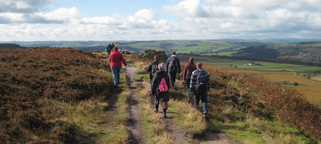 National park walkers follow a path through ferns