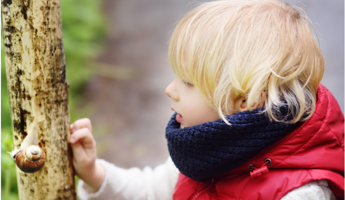 A child touches a tree trunk and watches a large snail on it