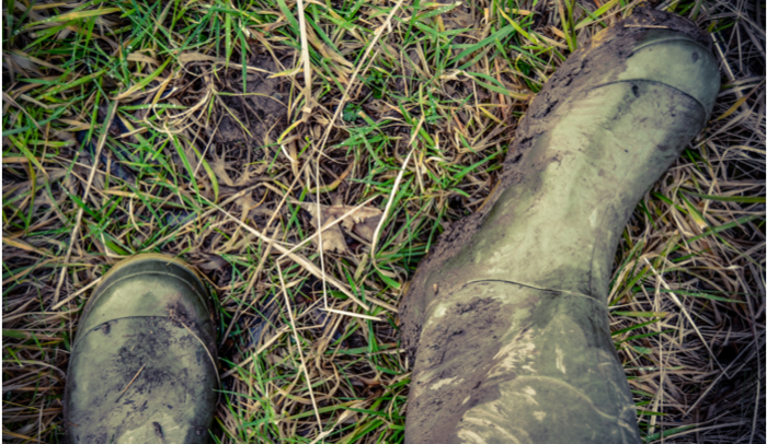 Muddy green welly boots in grass