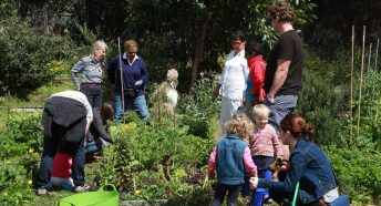 Adults and children in a community garden