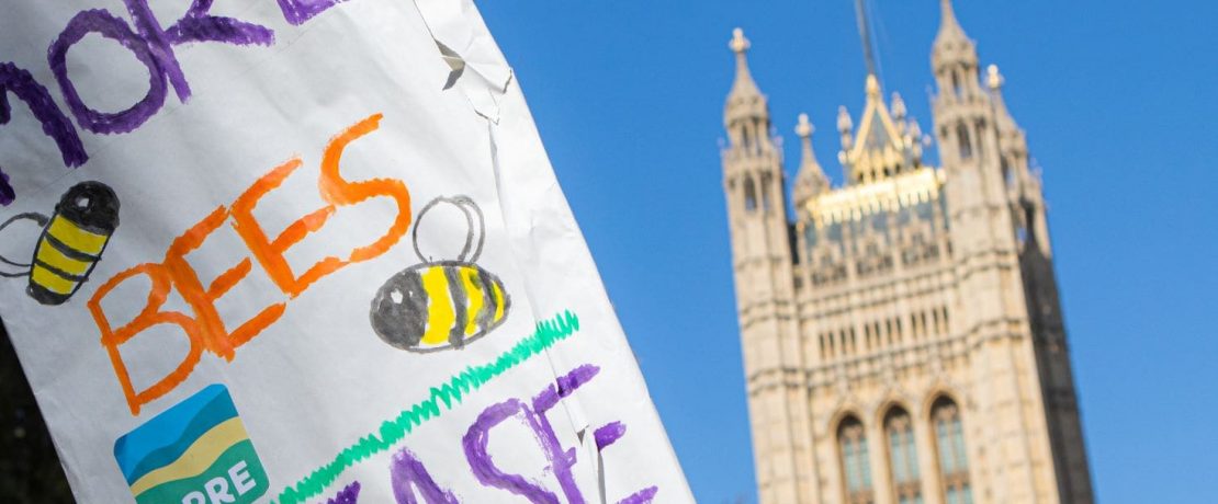 A CPRE-branded banner reading 'more bees please' at the Houses of Parliament during a protest