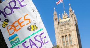 A CPRE-branded banner reading 'more bees please' at the Houses of Parliament during a protest