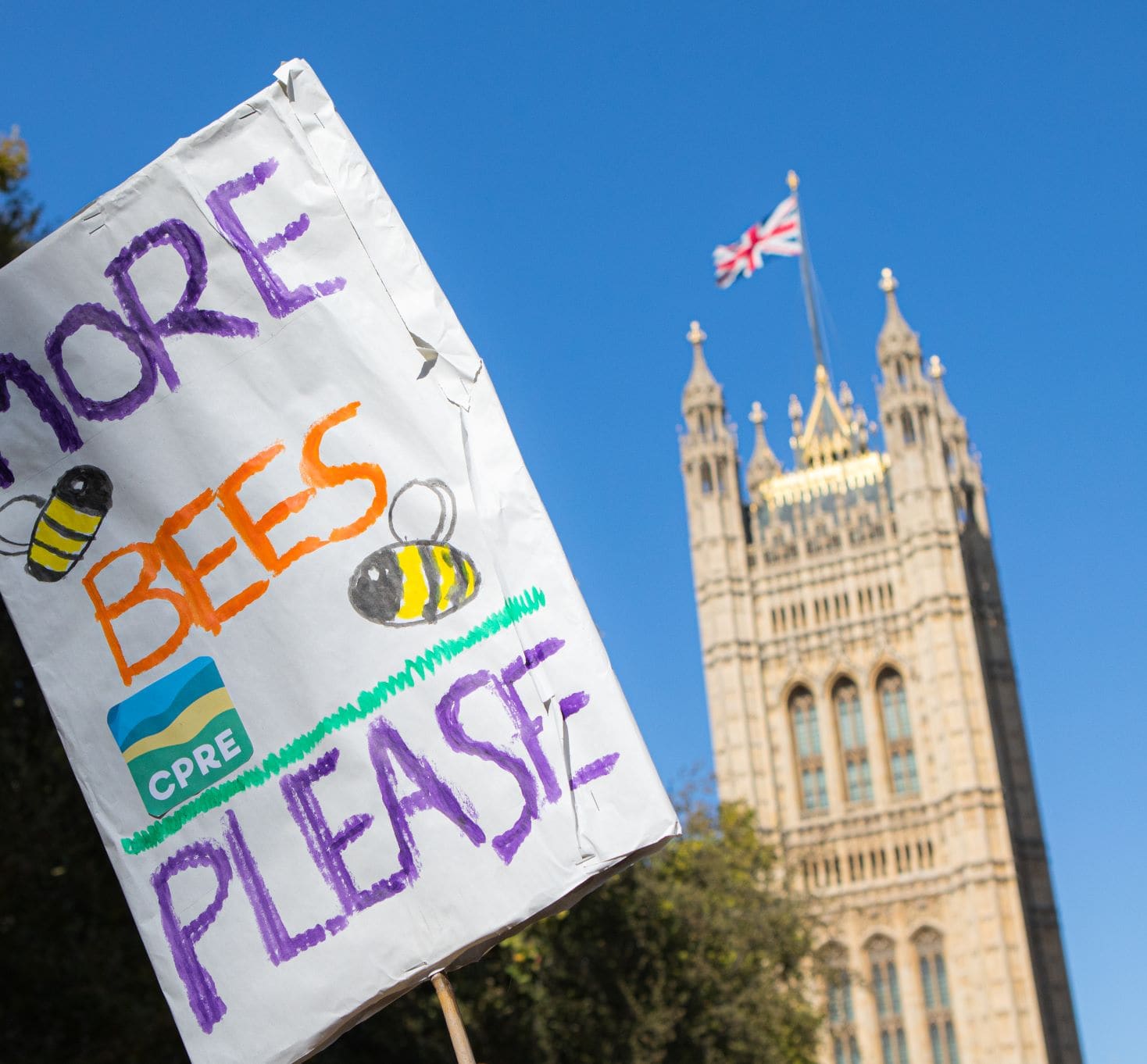 A CPRE-branded banner reading 'more bees please' at the Houses of Parliament during a protest