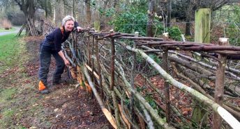 A woman leans against a hedge as she works on the branches within it