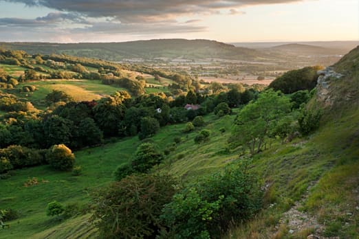 The sun sets over a steep green slope with trees and bushes