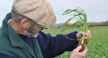 farmer holding plant