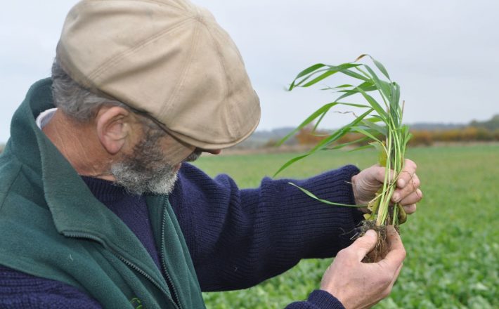 farmer holding plant