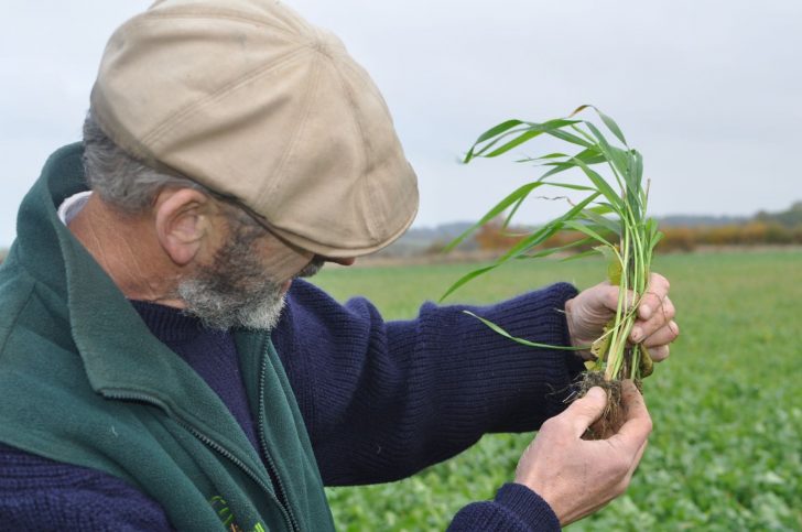 farmer holding plant