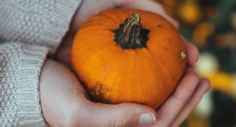 Hands holding a winter squash