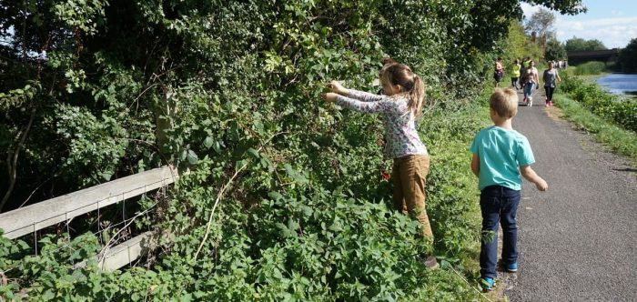 Children picking blackberries by canal in Rimrose Valley, Lancashire