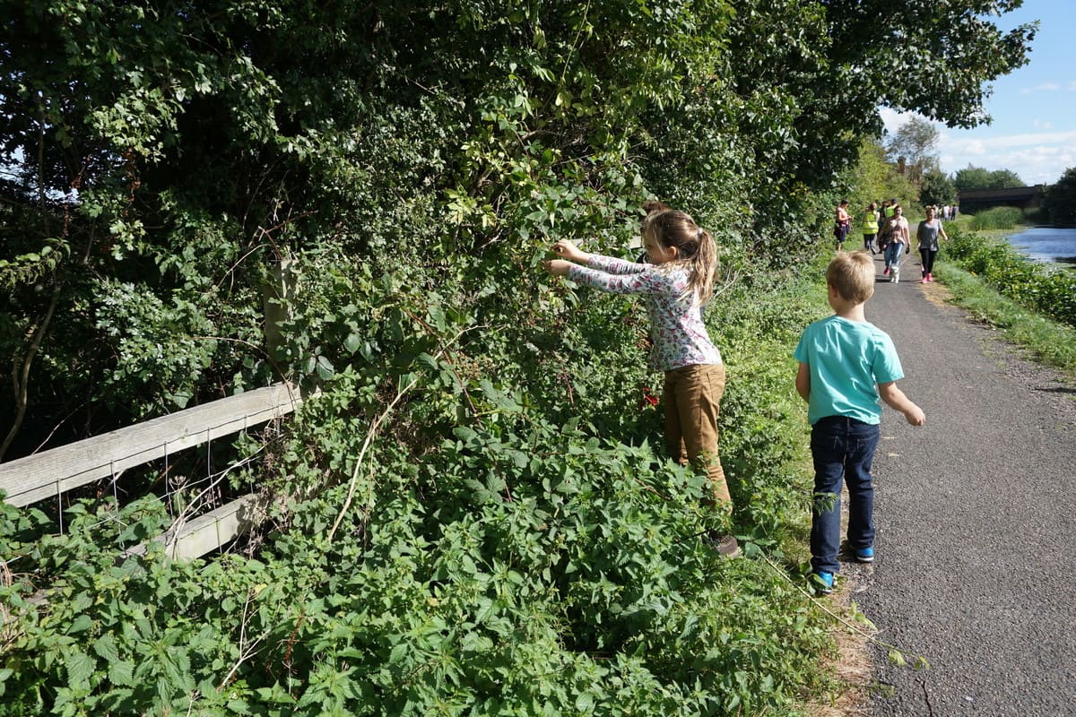 Children picking blackberries by canal in Rimrose Valley, Lancashire