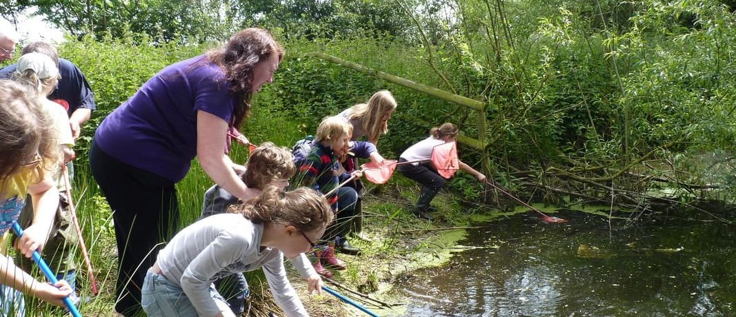 Children and woman pond dipping