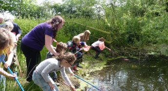 Children and woman pond dipping