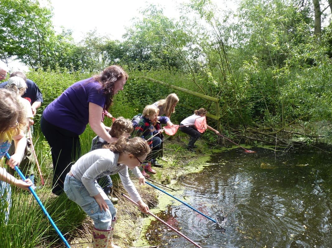 Children and woman pond dipping