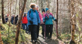 A group of women in hiking gear walking through a sunny forest