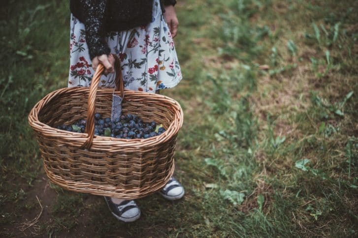 A child holds a basket full of blueberries