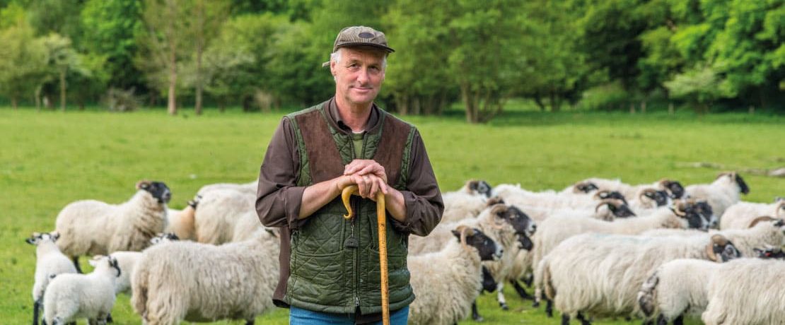 Farmer standing in front of sheep