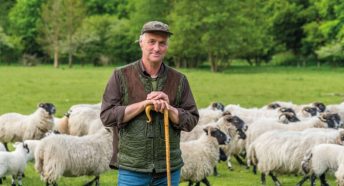 Farmer standing in front of sheep