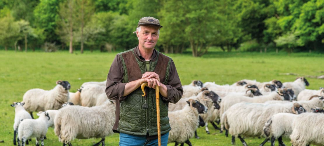 Farmer standing in front of sheep