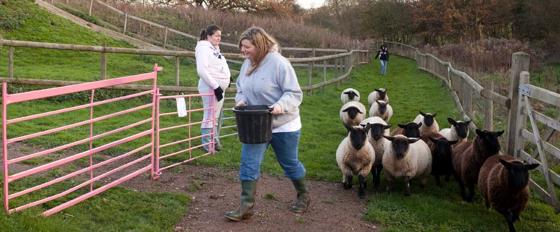 Two women in casual clothes and wellies feeding sheep