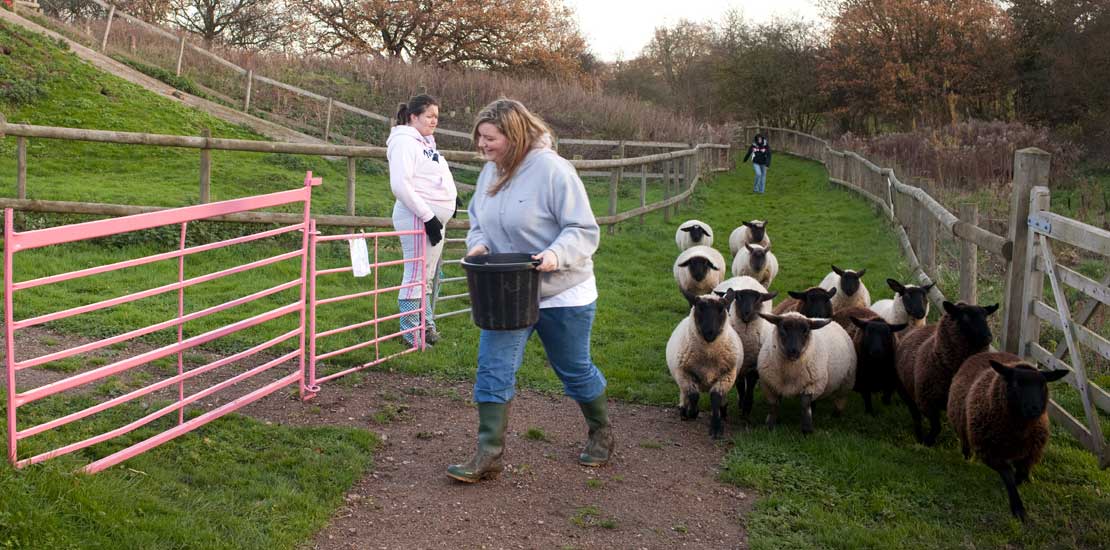 Two women in casual clothes and wellies feeding sheep