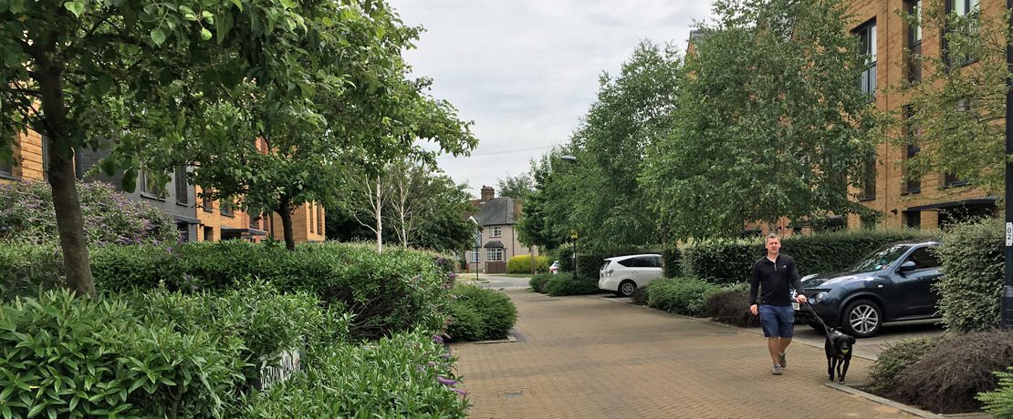 A man walks a dog through a housing estate planted with trees