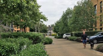 A man walks a dog through a housing estate planted with trees
