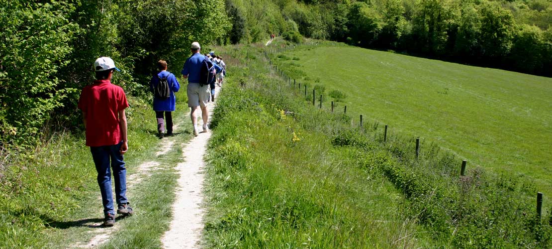 A group walk away from us on a path beside a bright green grassy meadow