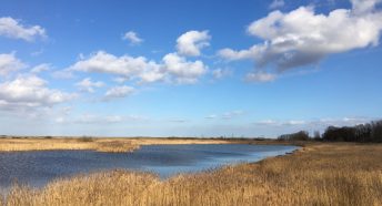A view across marshland under blue cloudy skies, with a body of still water and some birds in the distance