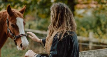 A woman reaches to pat a horse over a fence